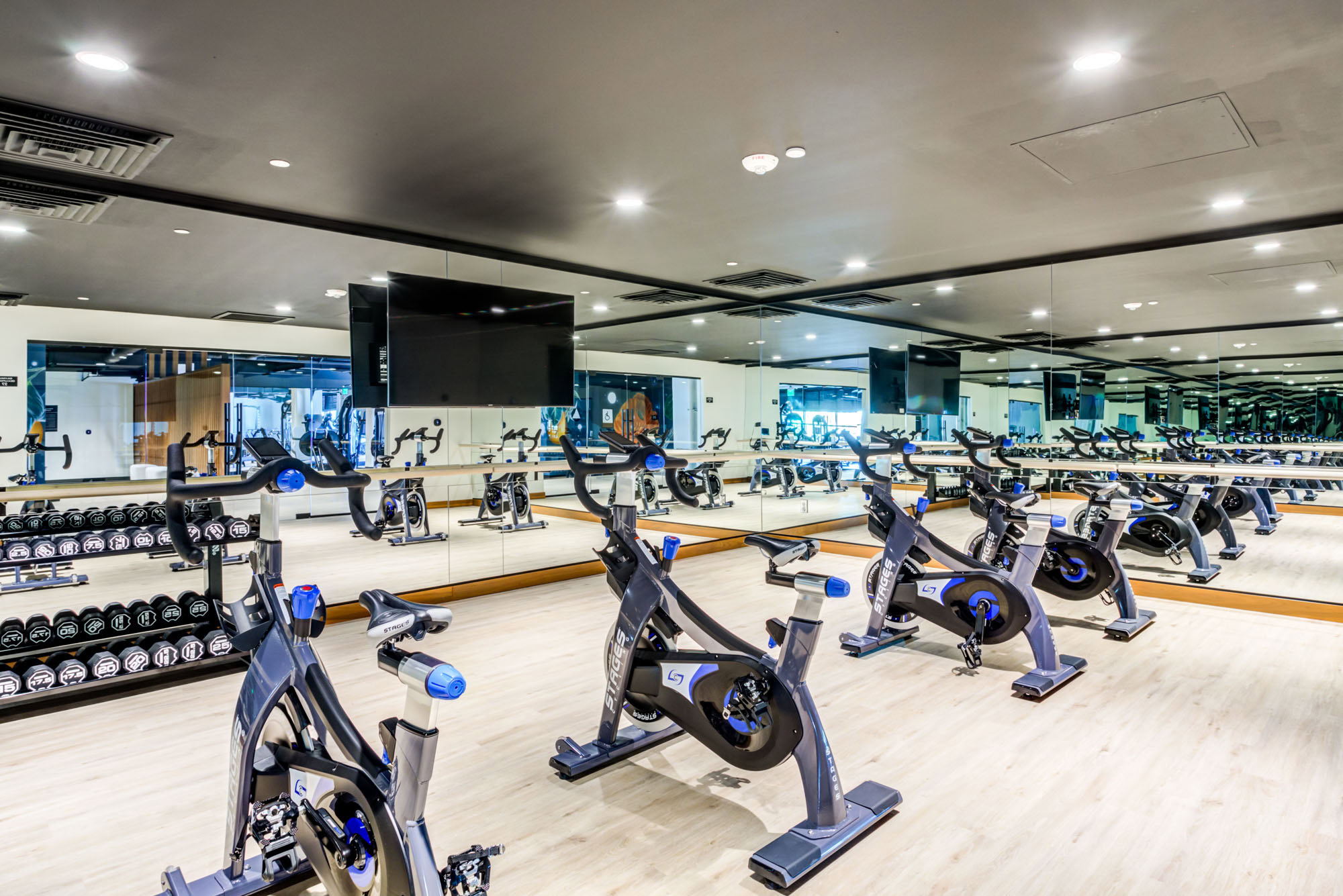 A fitness studio with stationary bikes, weights and mirrors at the Webster Elevents luxury apartments in downtown Oakland apartments for rent