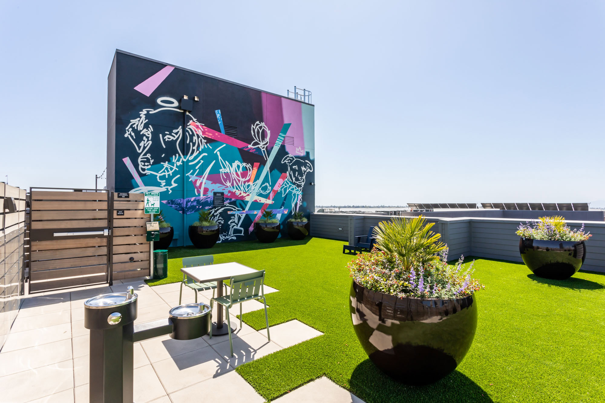 A rooftop dog park with faux grass and a graffiti wall at the Webster Eleven apartments in downtown Oakland