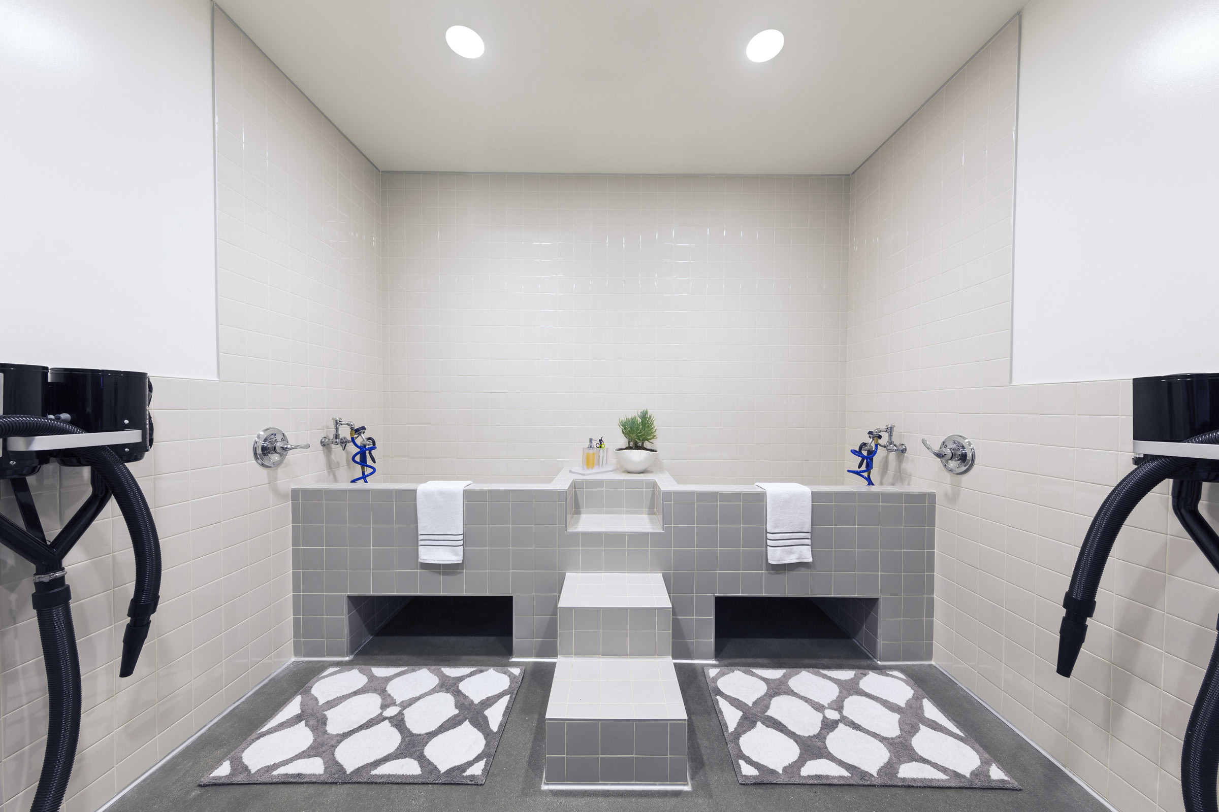 A modern, clean tiled washroom with two high sinks, three steps in the center, towels neatly hung, soap dispensers, a small plant, and patterned gray and white rugs placed in front of each sink.